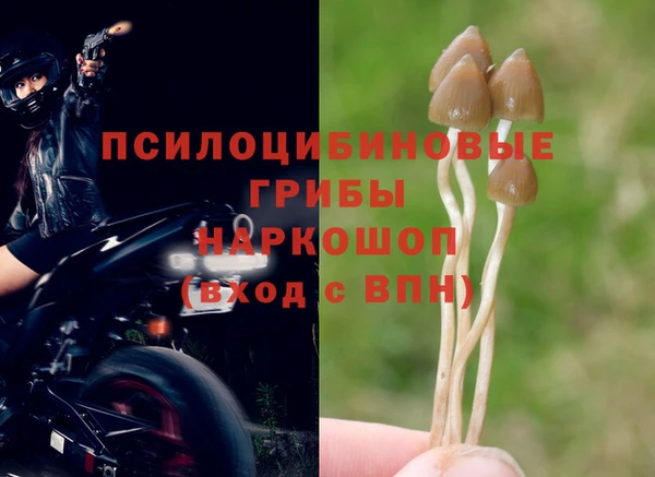 соль ск Алексин